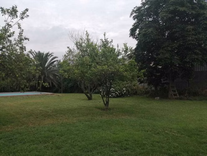 VENTA PARCELA BUIN. REGION METROPOLITANA (171379)
