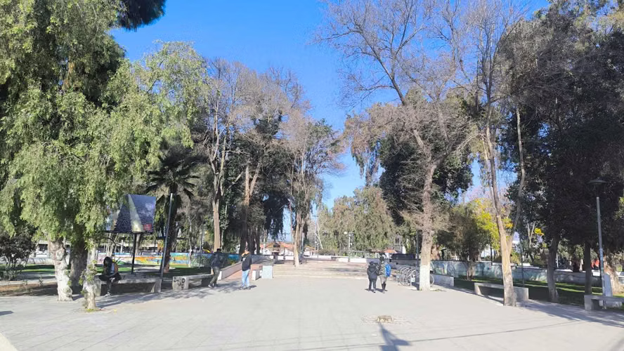 20.000  M2 TERRENO URBANO  --PLAZA DE ARMAS (171375)