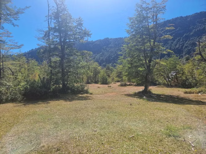 Entre ríos y bosques, Pucón (171368)