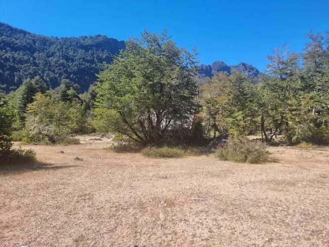 Entre ríos y bosques, Pucón (171368)