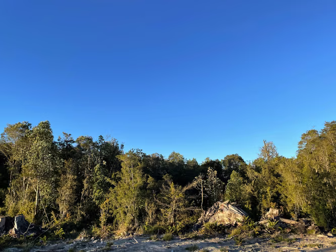 Parcela 5.000m² Puerto Varas. Bosque Nativo. Rol Propio.