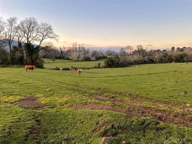 Agrícola en venta en Victoria