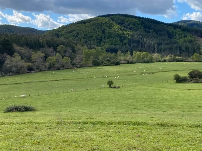 Agrícola en venta en Victoria