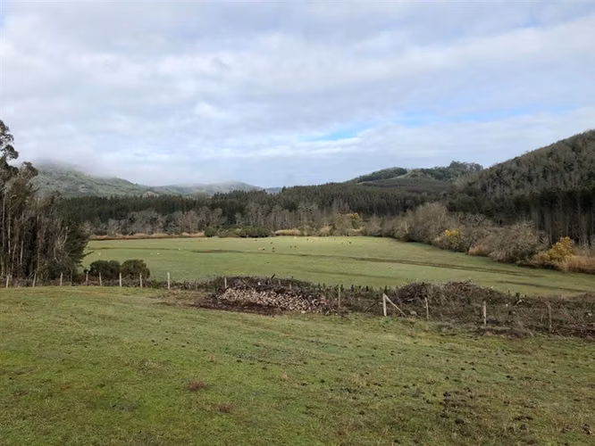 Agrícola en venta en Victoria