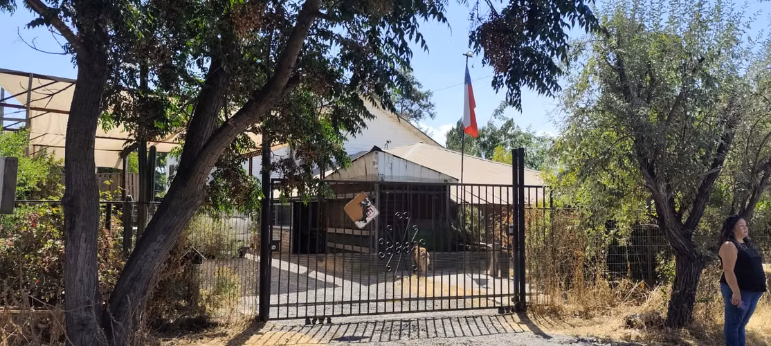 STA LUISA EL MAITEN-RUTA ACIDO, REQUINOA
