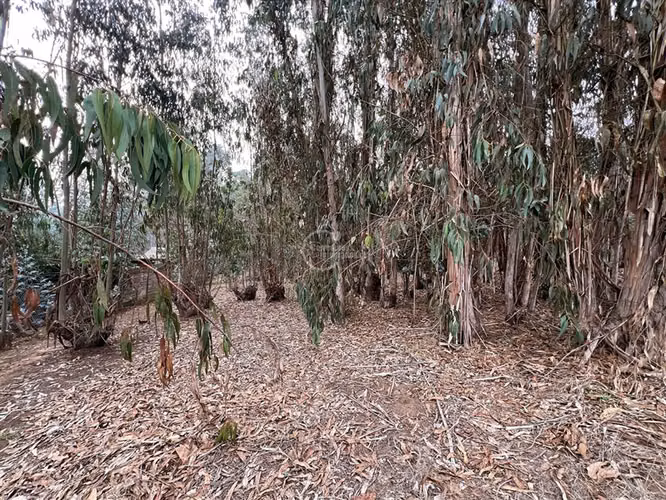 Parcela en venta en Santo Domingo