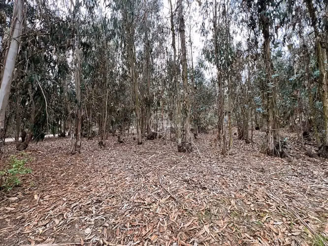 Parcela en venta en Santo Domingo