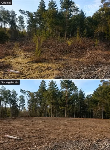 Parcela en venta 5000m2 con APR YUNGAY