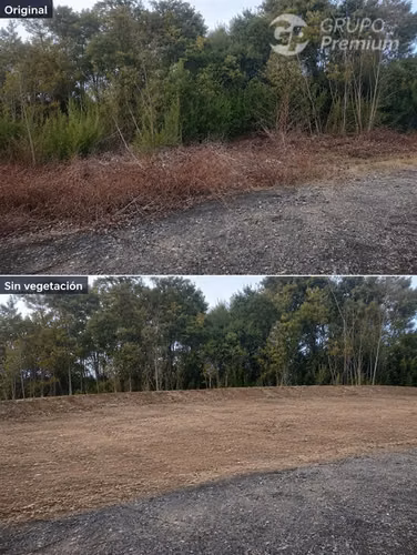 Parcela en venta 5000m2 con APR YUNGAY - Imagen 5