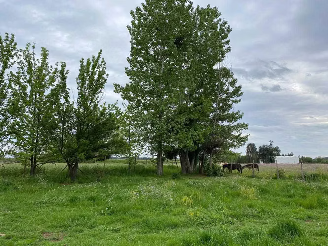 Terreno con molino en El Retiro-Parral (171495)