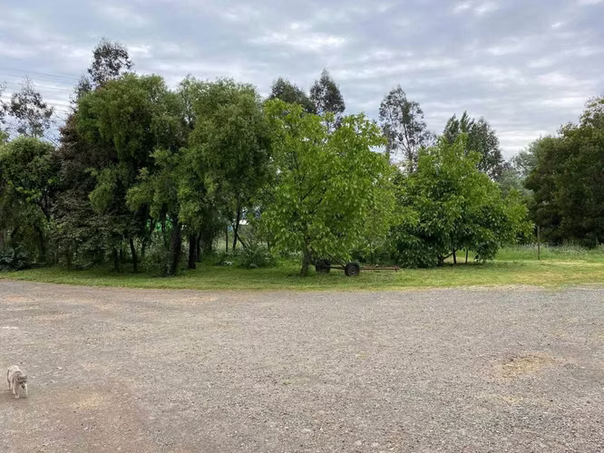 Terreno con molino en El Retiro-Parral (171495)