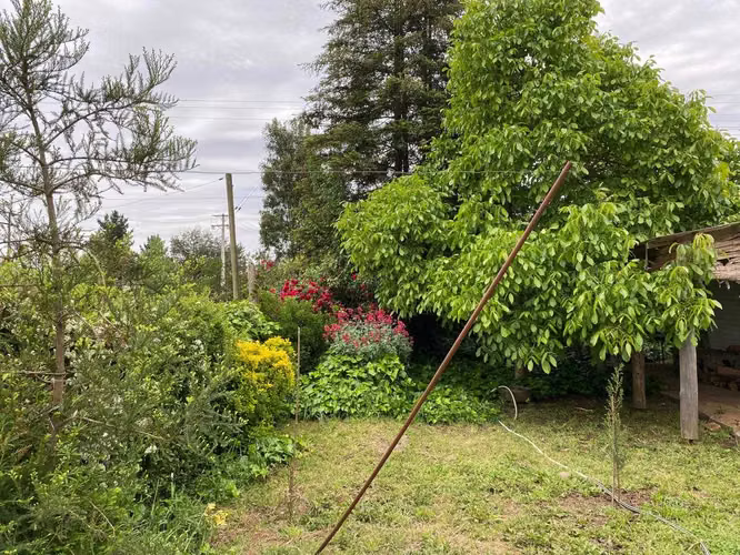 Terreno con molino en El Retiro-Parral (171495)