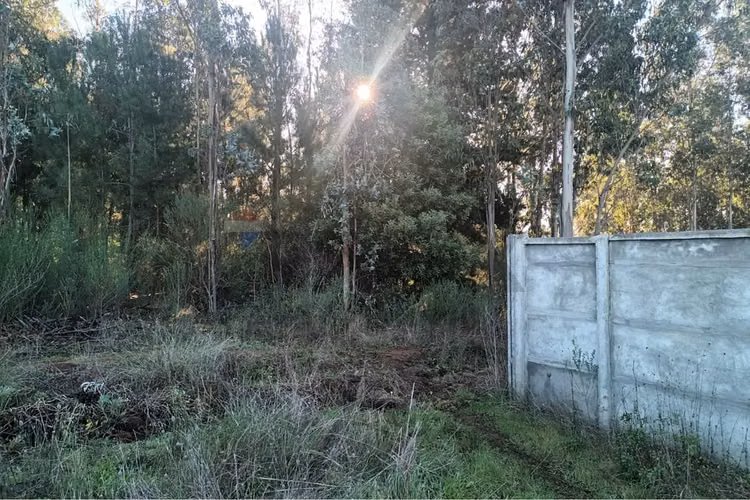 Oportunidad terreno urbano talcamávida, hualqui