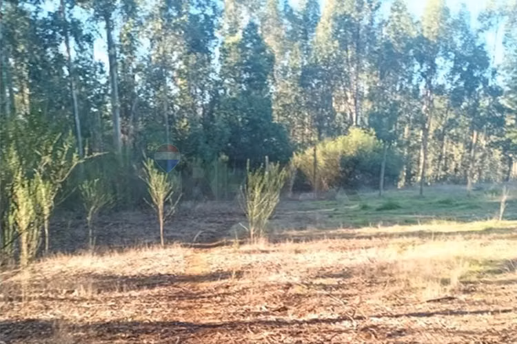 Oportunidad terreno urbano talcamávida, hualqui