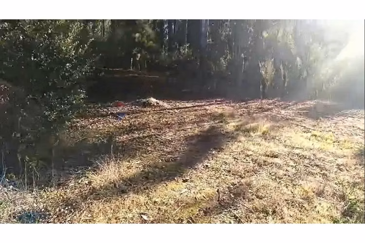 Oportunidad terreno urbano talcamávida, hualqui