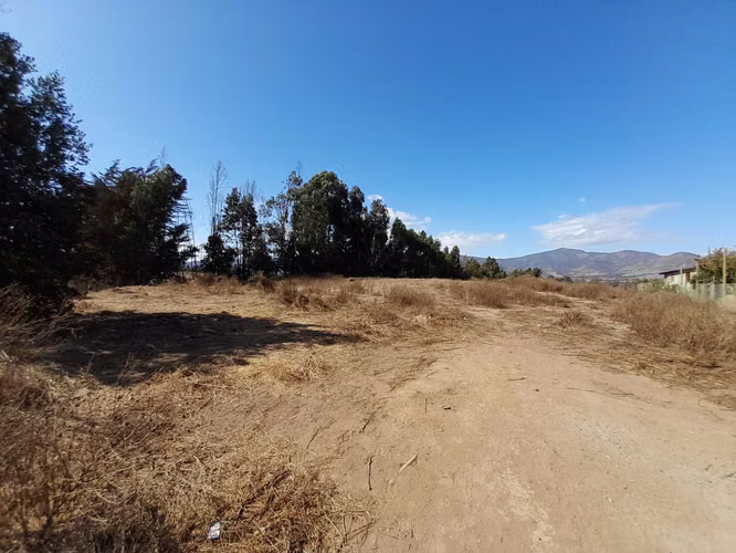 TERRENO PLANO EXCELENTE UBICACIÓN (171554)