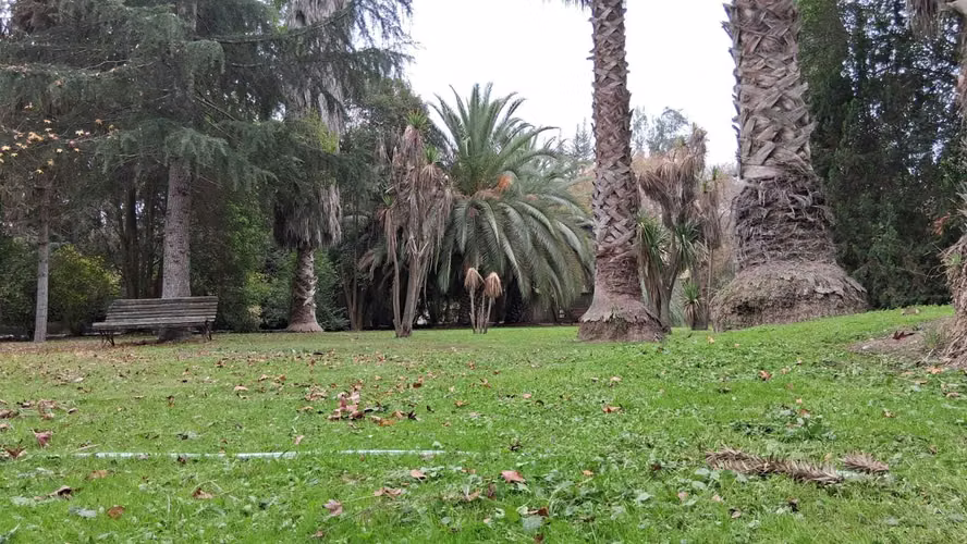 4D y 3B en Carampangue, Talagante (171538) - Imagen 26