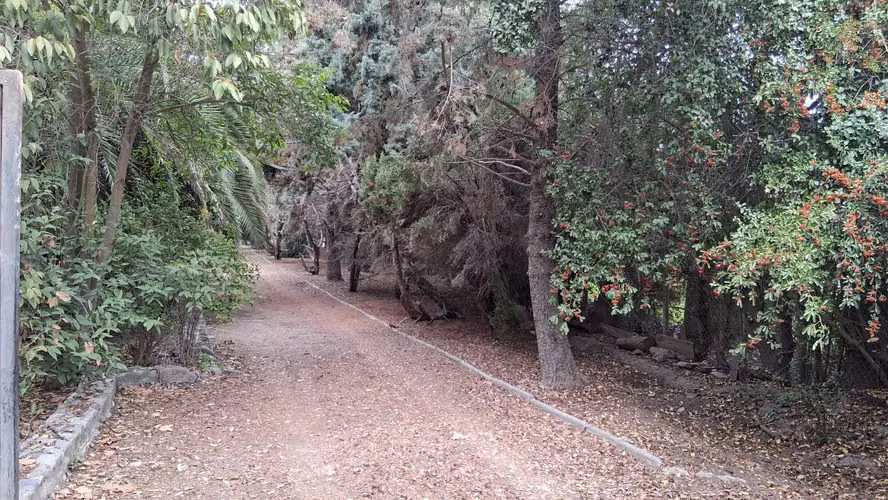 4D y 3B en Carampangue, Talagante (171538) - Imagen 24