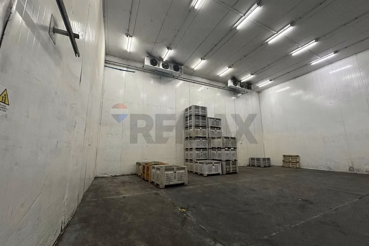Excelente propiedad agroindustrial en curacaví