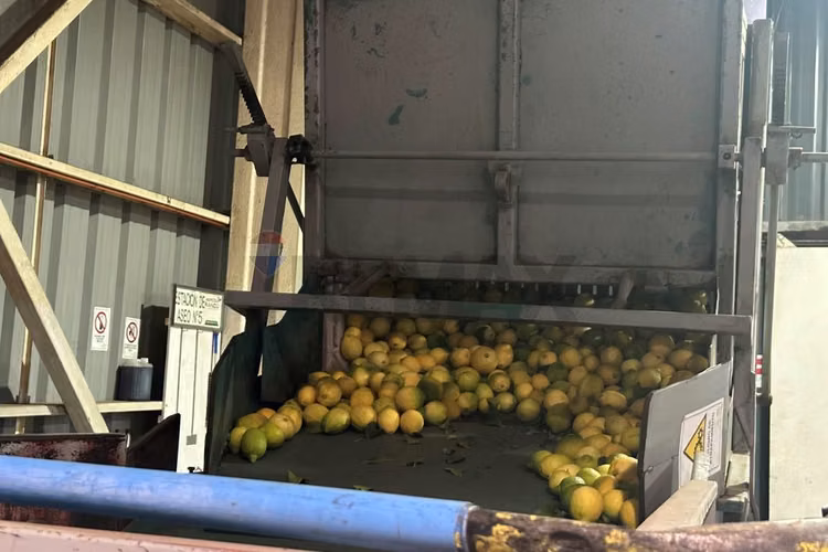 Excelente propiedad agroindustrial en curacaví