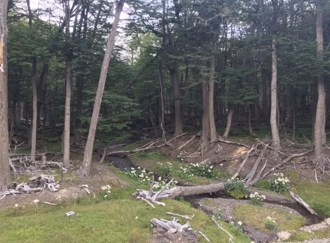 TERRENOS EN VENTA — TIMAUKEL, TIERRA DEL FUEGO