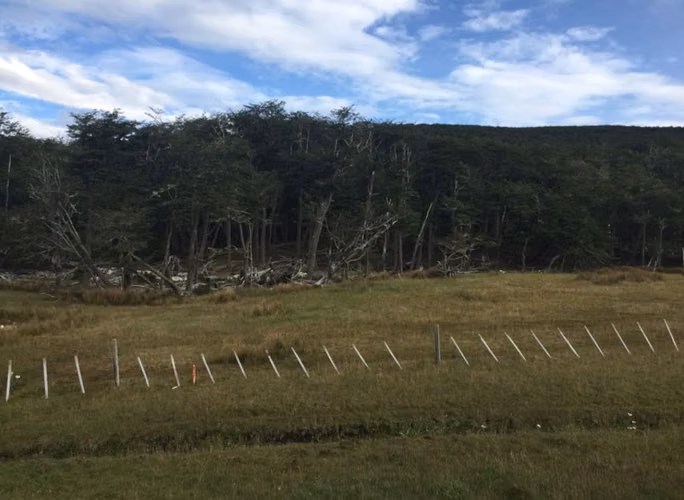Terreno de 3 ha en Timaukel, Tierra del Fuego