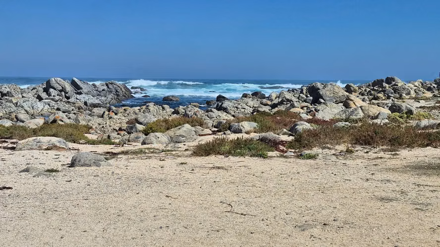 OPORTUNIDAD EL TABO FRENTE AL MAR  CABAÑAS FUNCIONANDO -