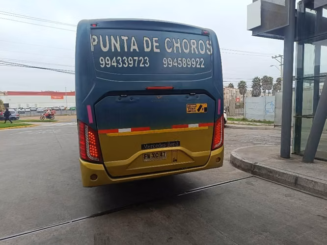 Bus Mercedes Benz lo915 2013