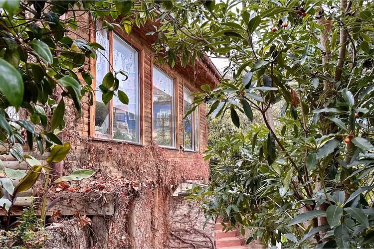 Hotel boutique y spa con vista a la bahía