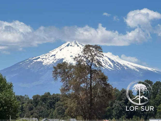 Venta Parcelas En Verde, Refugio Del Volcán (171692)