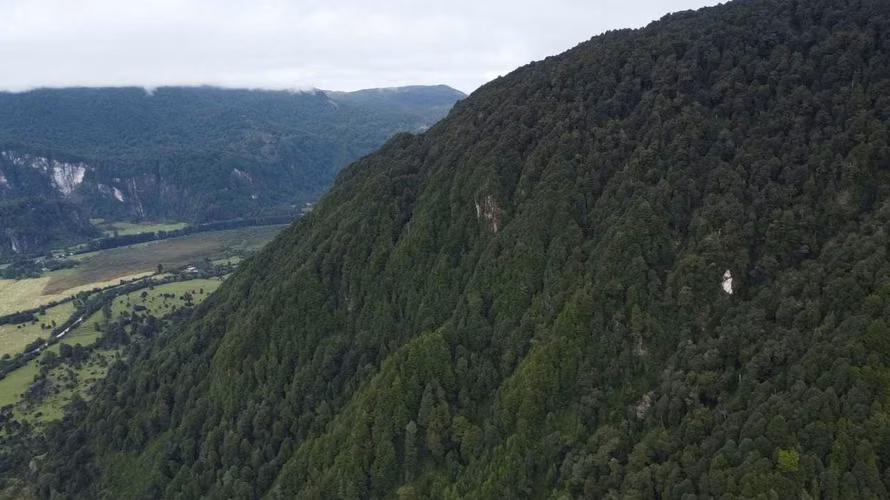 Parcela Km20 Ruta 240 Aysén - Coyhaique (171677)