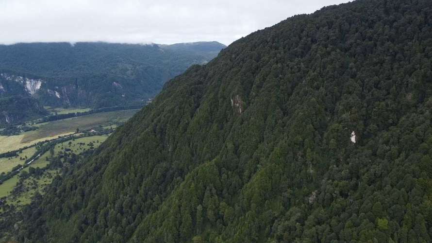 Parcela Km20 Ruta 240 Aysén - Coyhaique (171677)