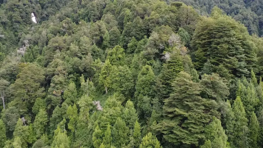 Parcela Km20 Ruta 240 Aysén - Coyhaique (171677)