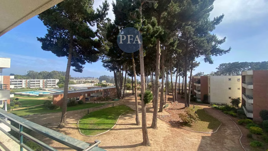 Departamento Condominio Regatas - Algarrobo  (162048)