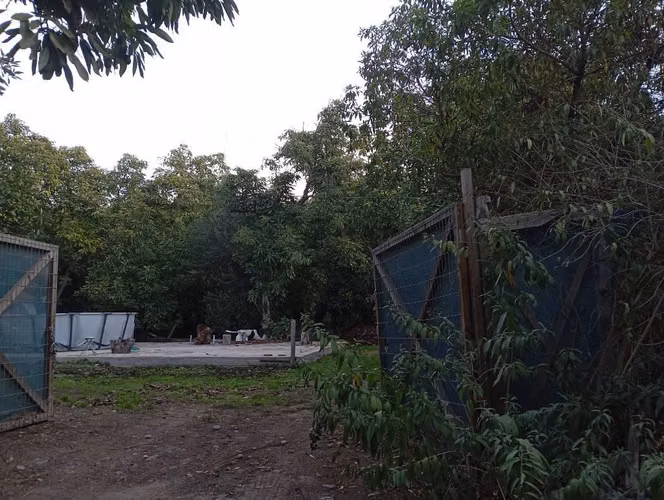 Vendo terreno
