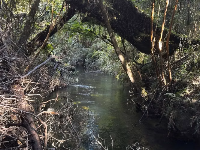 COCHAMO 1.5 HA CON ESTERO, RIO Y LAGUNA RIO PUELO