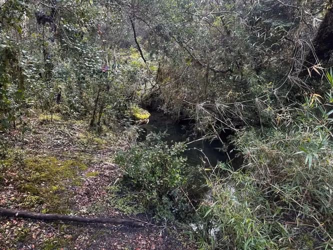 COCHAMO 1.5 HA CON ESTERO, RIO Y LAGUNA RIO PUELO