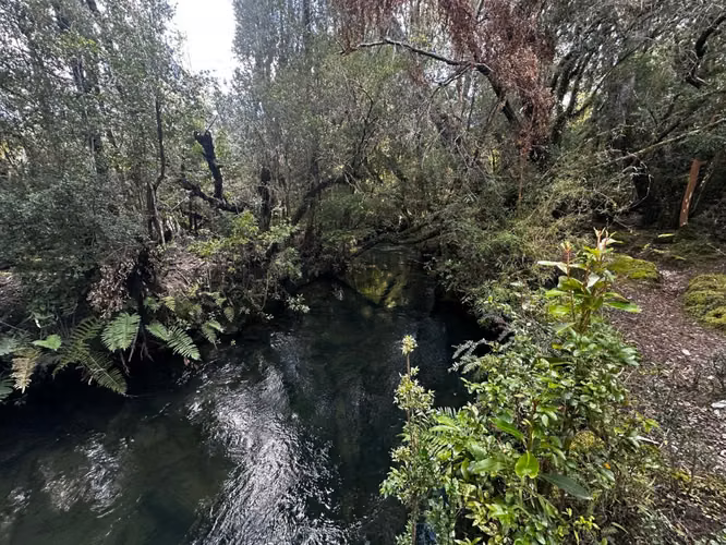 COCHAMO 1.5 HA CON ESTERO, RIO Y LAGUNA RIO PUELO