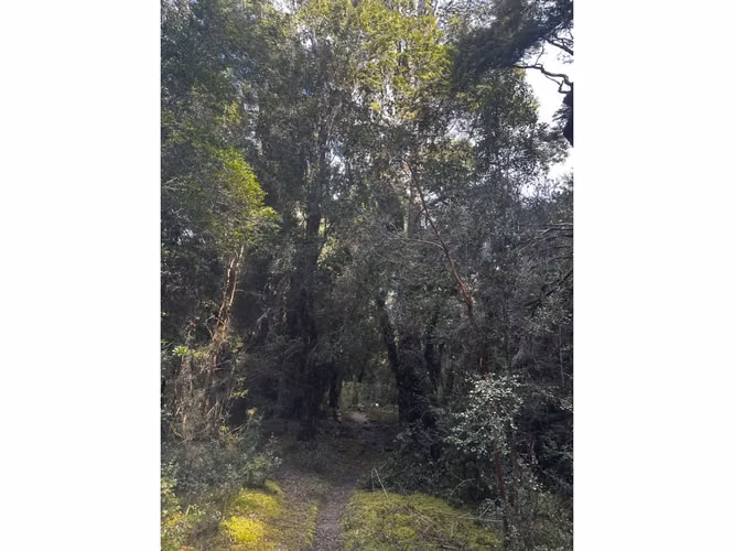 COCHAMO 1.5 HA CON ESTERO, RIO Y LAGUNA RIO PUELO