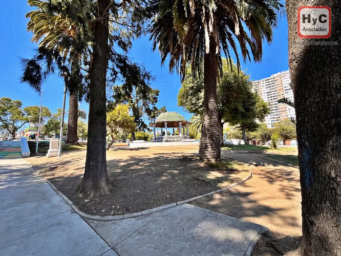 Inversión Cerro Placeres: 2 Roles Independientes Pasos Plaza Conquista