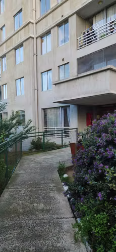 Hermoso departamento Valparaíso (121734)