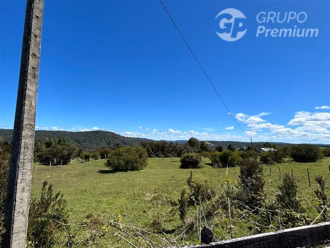 PARCELAS EN VENTA - SECTOR RURAL PIO PIO / QUEILEN