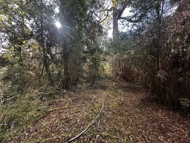 COCHAMO 5000 M2 CON ESTERO, RIO Y LAGUNA RIO PUELO