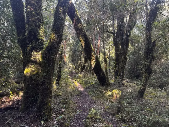 COCHAMO 5000 M2 CON ESTERO, RIO Y LAGUNA RIO PUELO