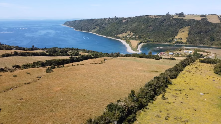 CALBUCO ISLA HUAR 8,3 HA