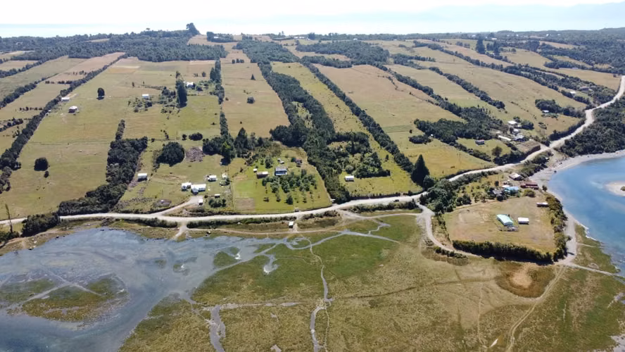 CALBUCO ISLA HUAR 8,3 HA