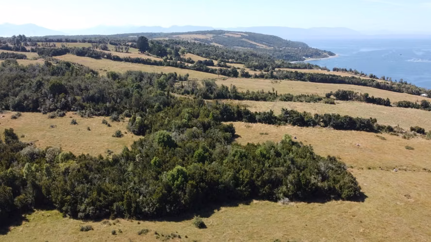 CALBUCO ISLA HUAR 8,3 HA