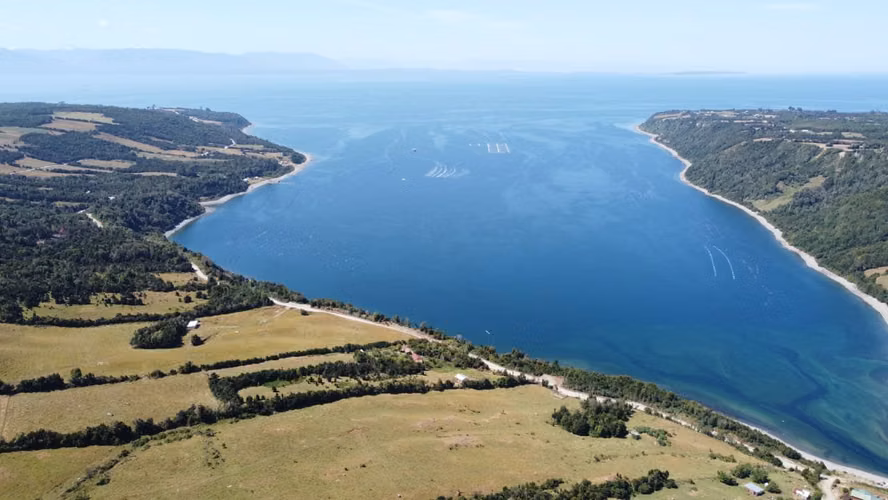 CALBUCO ISLA HUAR 8,3 HA