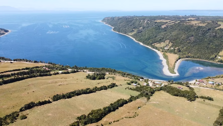 CALBUCO ISLA HUAR 8,3 HA