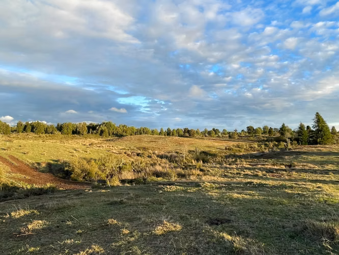 MAULLIN 100 HA PARCELADAS CADIQUEN